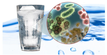 Water Purifiers – The Silent Guardians in Every Home