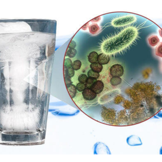 Water Purifiers – The Silent Guardians in Every Home